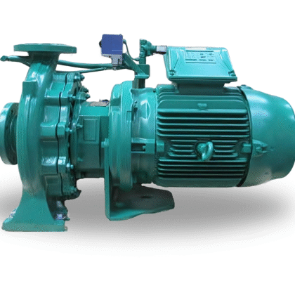 Azcue Pumps