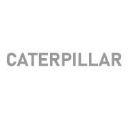 Caterpillar