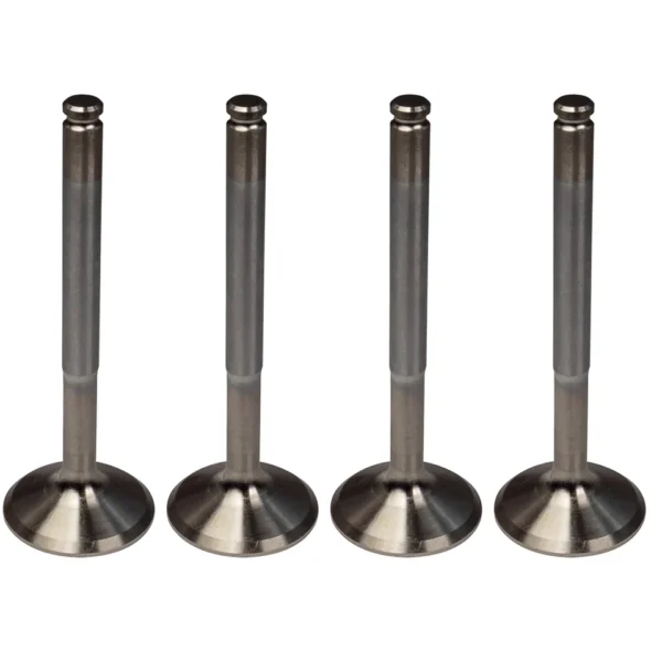 Engine Exhaust Valve