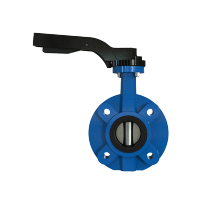 Lug-Type Marine Butterfly Valve
