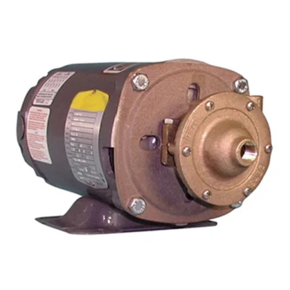 OBERDORFER 101M