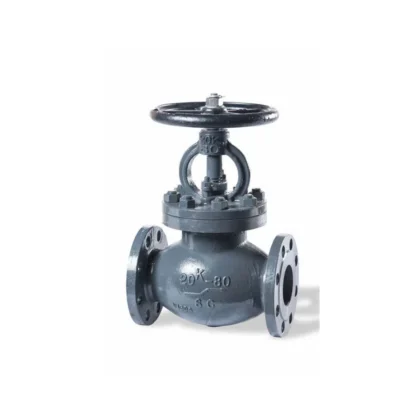 RK Bellows Globe Valve