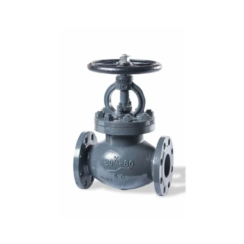 RK Bellows Globe Valve