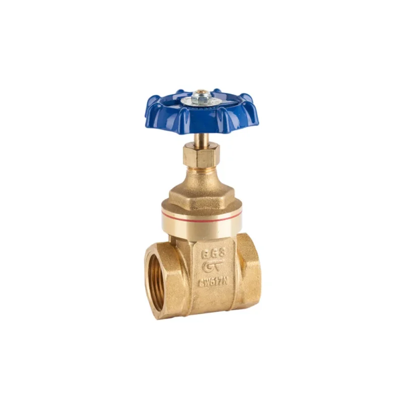 RK Gate Valve