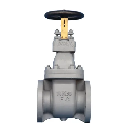 RK Rising Stem Gate Valve