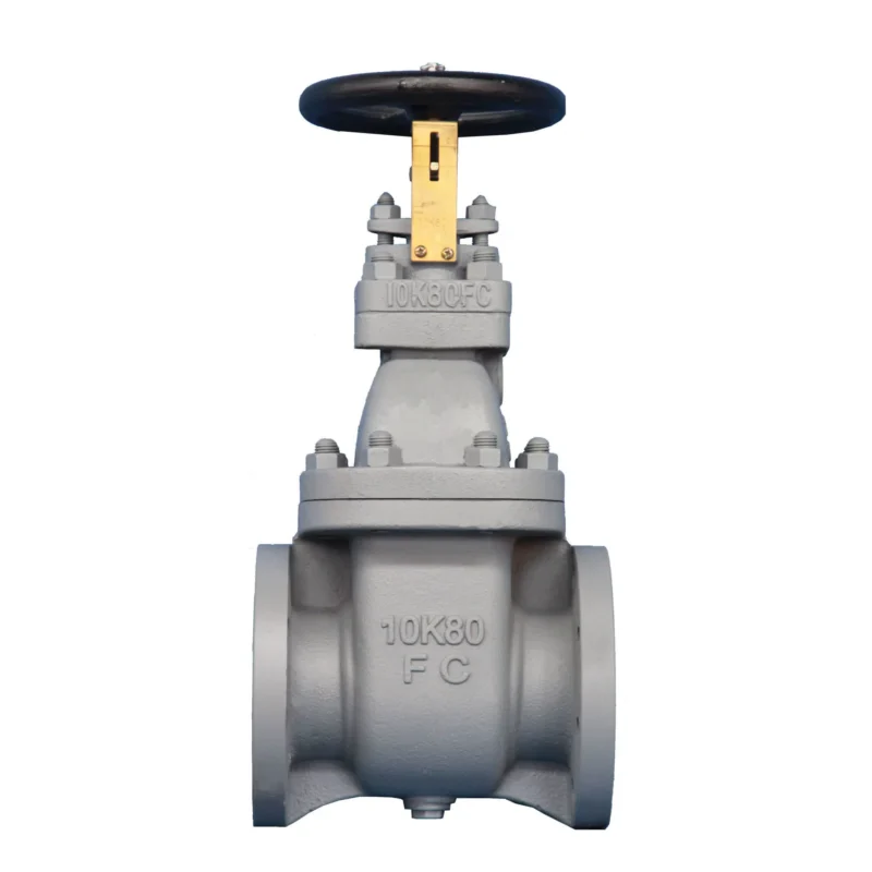 RK Rising Stem Gate Valve